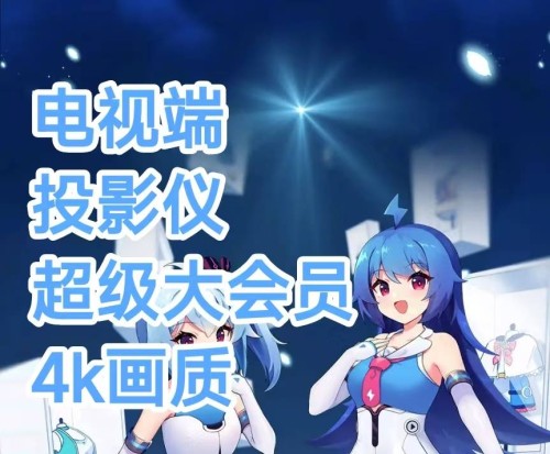 哔哩哔哩电视端投影仪超级大会员4K画质1天天卡日卡-字节棱镜 (Byte Prism)